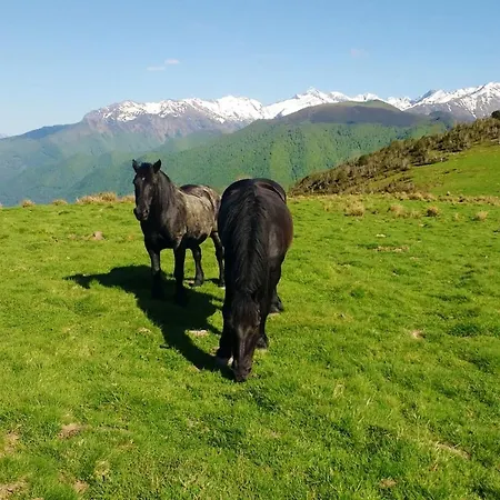 Tatil Evi Maison Familiale Chaleureuse A Avec Grand Jardin. Augirein