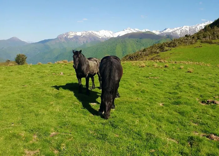 Tatil Evi Maison Familiale Chaleureuse A Avec Grand Jardin. Augirein
